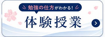 さくら家庭教師センター/体験授業